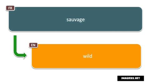 synonyme de sauvage